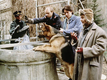 02:50: Kommissar Rex | Sat1 | 4/28 2026