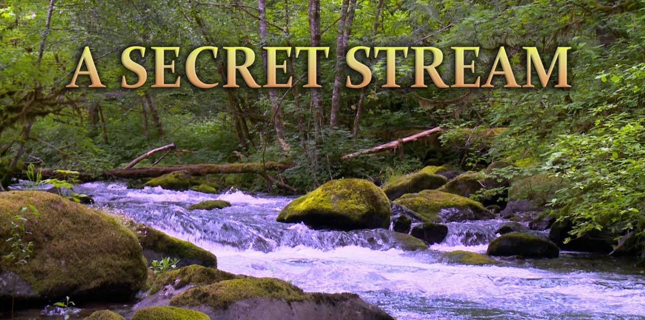 A Secret Stream (2019)
