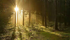 Burgen, Wälder, Nebelfelder - Thüringen nonstop