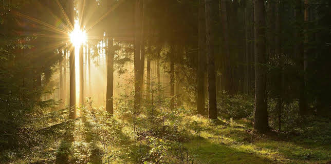 03:10: Burgen, Wälder, Nebelfelder - Thüringen nonstop | MDR Fernsehen | 11/5 2025