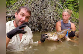 Monster Fish  Season 1: Giant Catfish