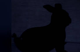 The Haunted Season 1: Lady in White