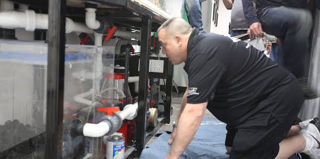 09:25: Akvariedesignerne (S5 E12) (S5) | Animal Planet | 3/16 2026