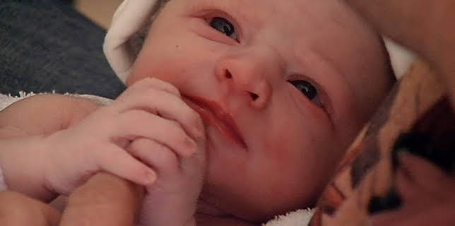 11:00 PM: One Born Every Minute (S6 E5) (S6) | W | 11/16 2025