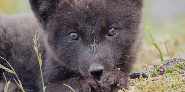 02:05: natur exclusiv | BR Fernsehen | 12/21 2025