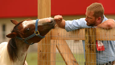 06:00: Animal Cops Houston (S7 E5) (S7) | Animal Planet | 4/12 2026