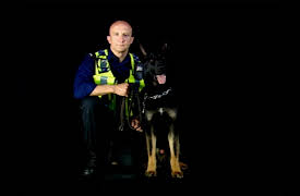 Send In The Dogs: Send in the Dogs Uk