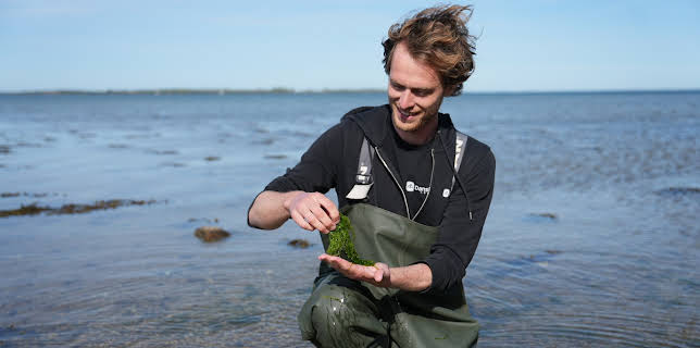 04:30: plan b: Superfood neu gedacht | ZDF | 11/20 2025