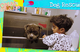 Yonas Gets a Job!: Dog Rescuer