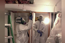 Rat Busters NYC: It's Raining Rats