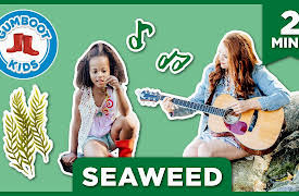 Jessie and Gumboot Kids Series: Episode 4 | Seaweed