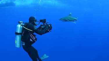 21:00: Deadliest Shark | Animal Planet | 12/30 2025