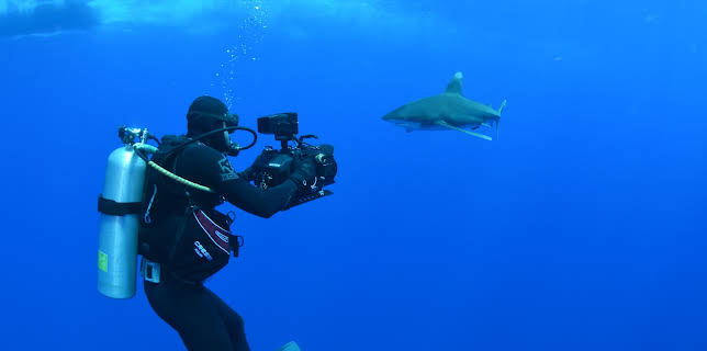 20:00: Deadliest Shark | Animal Planet | 12/30 2025