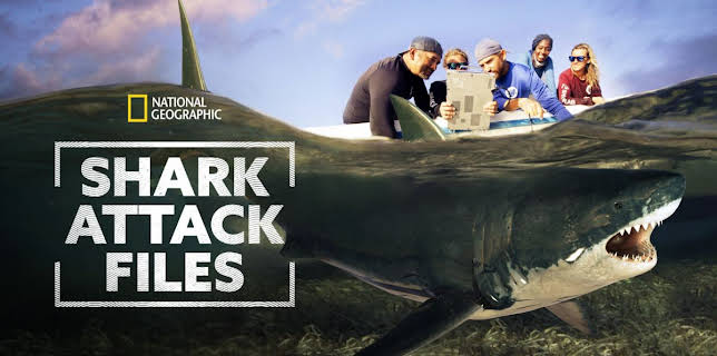 Shark Attack Files