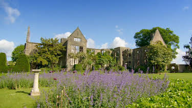 2:00 PM: Antiques Roadshow (S40 E3) (S40) | Yesterday | 2/16 2026