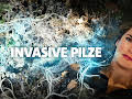 Invasive Pilze