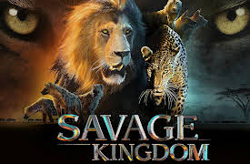 Savage Kingdom Season 1: Leopard's Rock