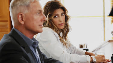 20:00: NCIS (S14 E5) (S14) | TV8 | 4/6 2026