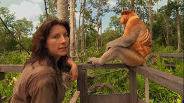 19:50: Raros y salvajes: Las desgracias de los mutantes | Nat Geo Wild | 6/24 2025