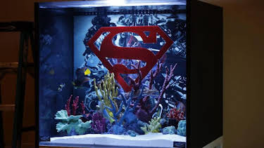 8:00 AM: Tanked (S4) | Discovery Channel | 10/16 2026