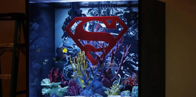 8:00 AM: Tanked (S4) | Discovery Channel | 3/26 2026