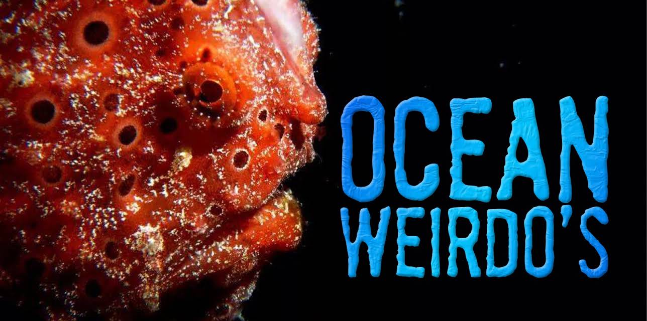 Ocean Weirdos (2004)