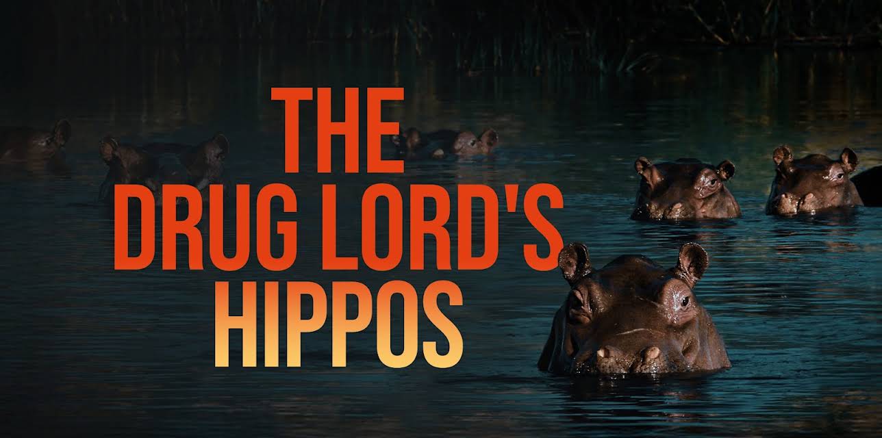 The Drug Lord's Hippos Season 1