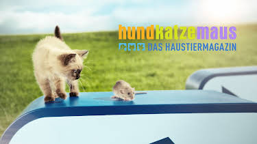17:55: hundkatzemaus | VOX | 4/11 2026