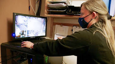 11:00 AM: Shoplifters & Scammers: At War With The Law | 5 Star | 2/11 2026