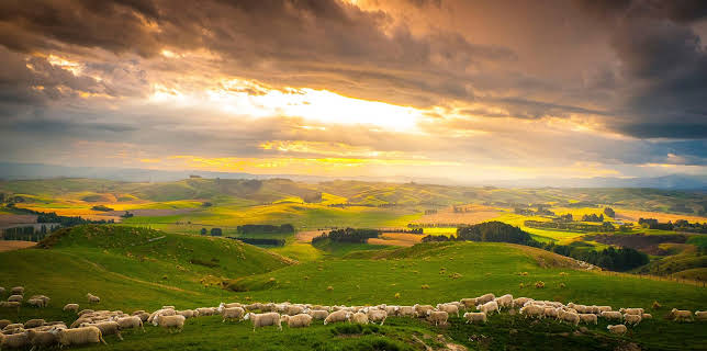 02:15: Wildes Neuseeland (3/3) | 3SAT | 1/9 2026