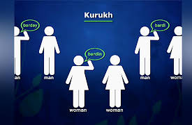 Language Families of the World: Indian Languages That Aren’t Indo-European