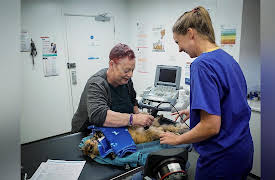 Kitten Rescuers: Episode 6