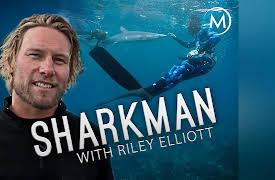 Shark Man: Great White