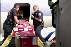 Airport 24/7: Miami Season 1: Upside of Danger