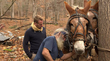 9:00 PM: Ben Fogle: New Lives in the Wild (S7 E1) (S7) | 5 Select | 6/11 2026