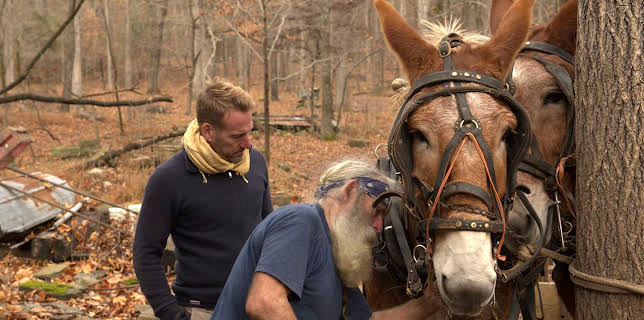 8:00 PM: Ben Fogle: New Lives in the Wild (S7 E1) (S7) | 5 Select | 11/10 2025