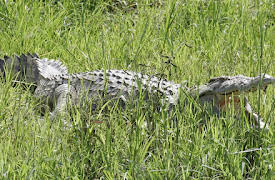 Wonders of Nature: Water Worlds