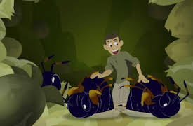 Wild Kratts: Episode 32