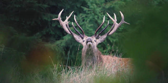 02:15: Am Fuß der Berge | RBB Fernsehen | 12/24 2025