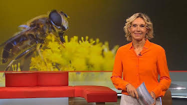 05:05: Frankenschau aktuell | BR Fernsehen | 9/1 2026