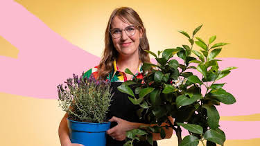 10:45 AM: What’s in Your Plant Pot? (S1) | Cbeebies | 8/11 2026