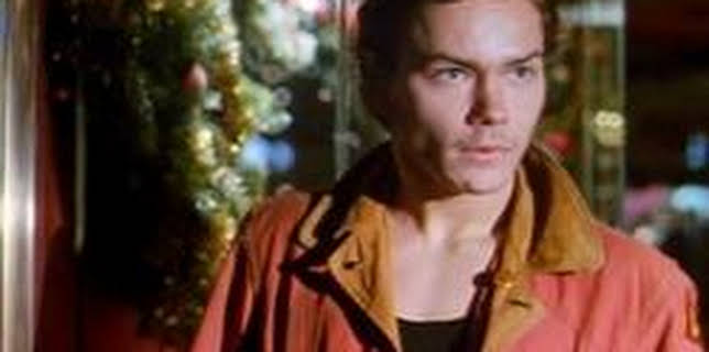 Mi Idaho privado (1991)