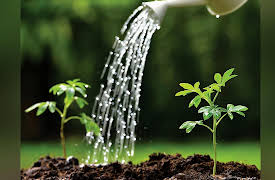 The Science of Gardening: Water-Wise Landscaping