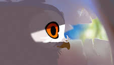 Shoooms abenteuerliche Reise