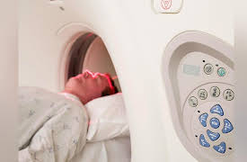 The Aging Brain: Aging and Brain Function