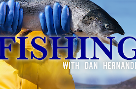 Fishing With Dan Hernandez: The Mirage, White seabass & halibut