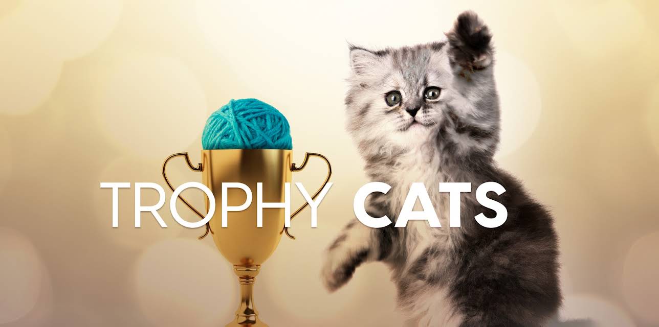 Trophy Cats