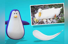 Sid the Science Kid: Encyclopedia of Discovery, Volume 1: Classifying Animals