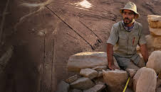 Rätselhafte Wüstendrachen