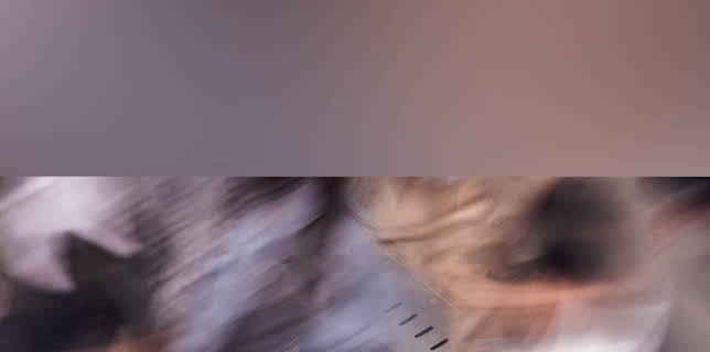 Let Me Introduce Her